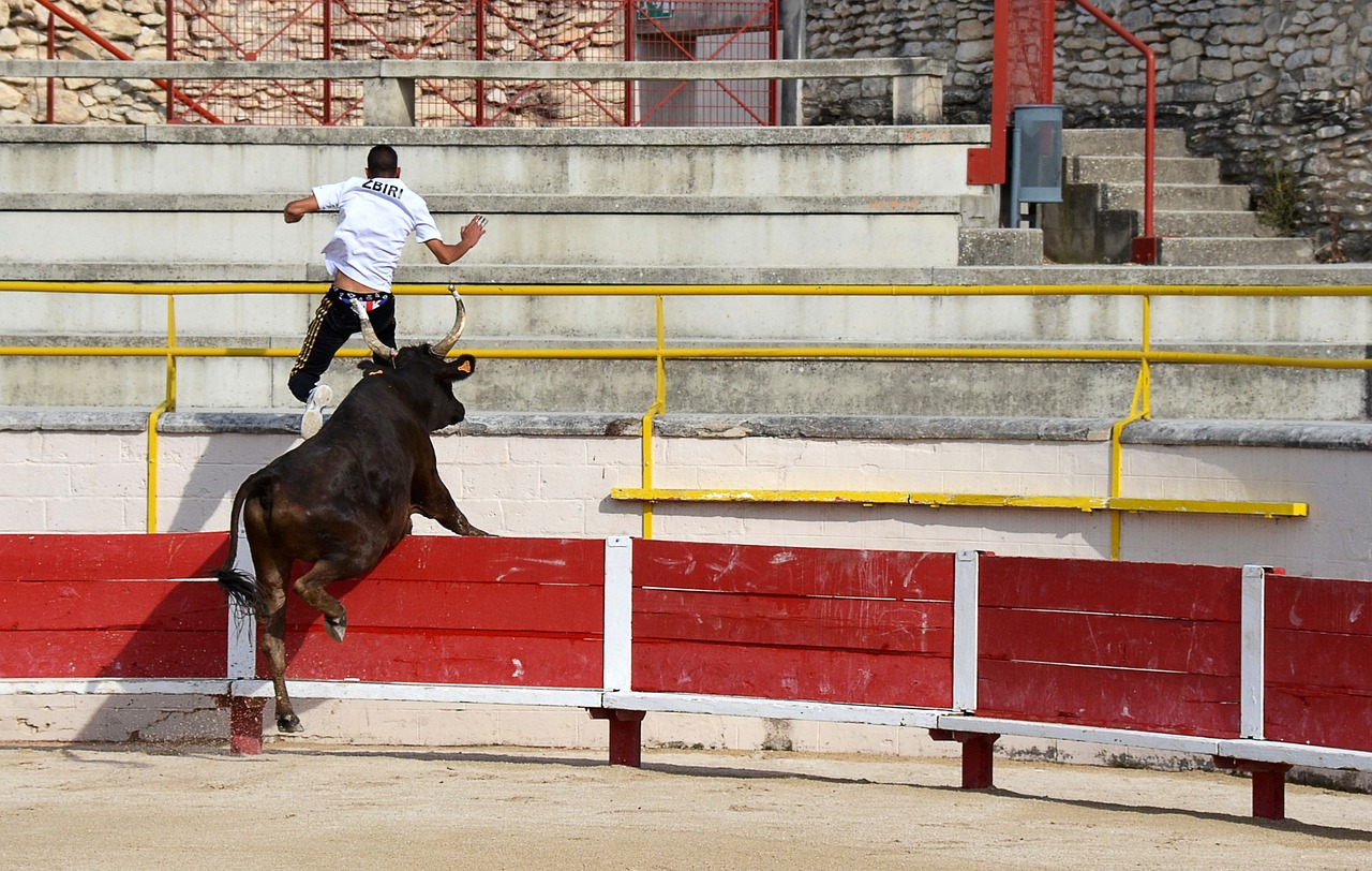 号位