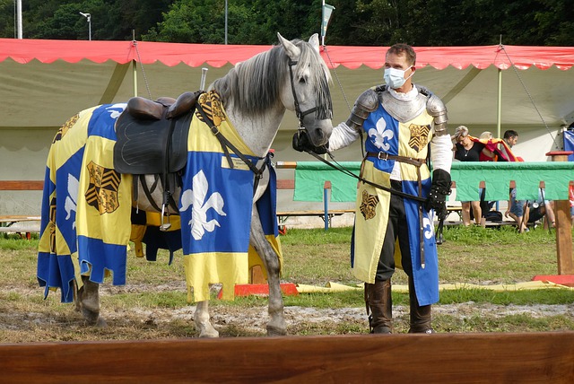 欧洲顶级足 欧洲顶级足